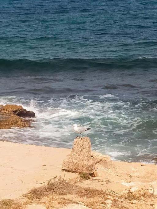 דירות טורבייחה Mar Azul Adosado, Patio Y Solarium מראה חיצוני תמונה